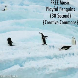 FREE Music: "Playful Penguins" Song (30 Second) {Creative Commons}