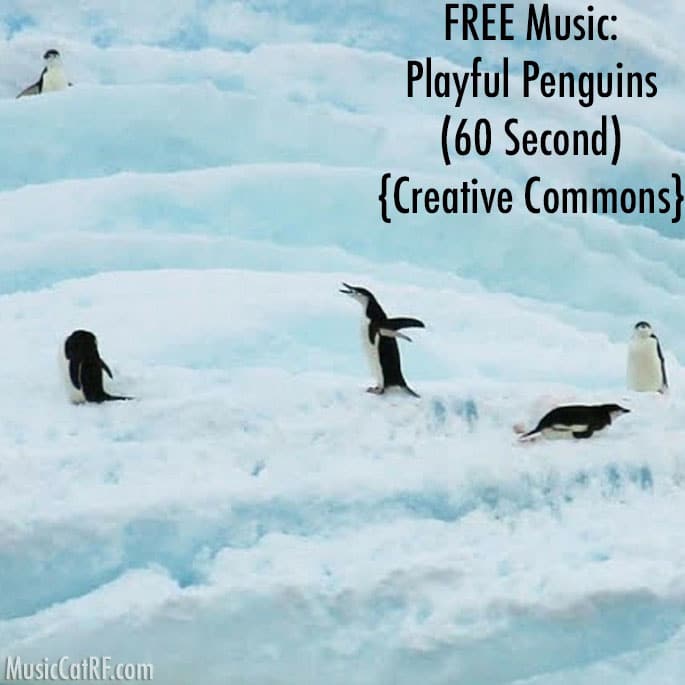 FREE Music "Playful Penguins" Song (60 Second) {Creative Commons}