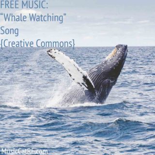 FREE MUSIC: "Whale Watching" Song {Creative Commons}